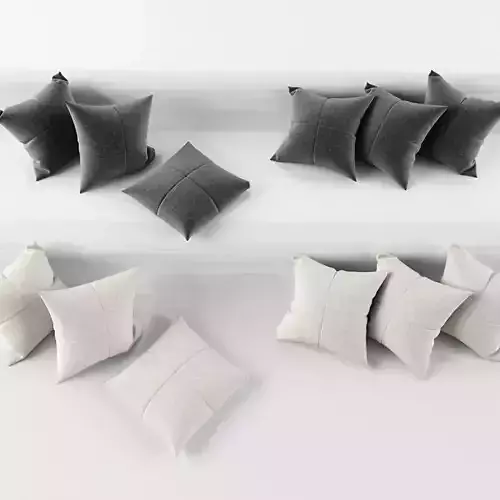 Pillows White and Black