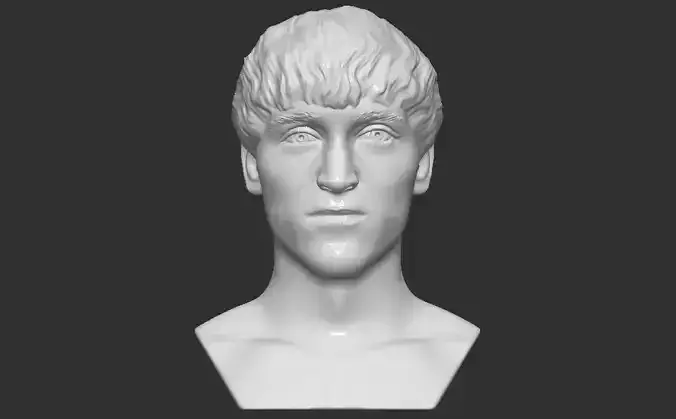 Logan Paul bust for 3D printing 3D print model