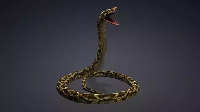 Anaconda Animated Low-poly 3D model