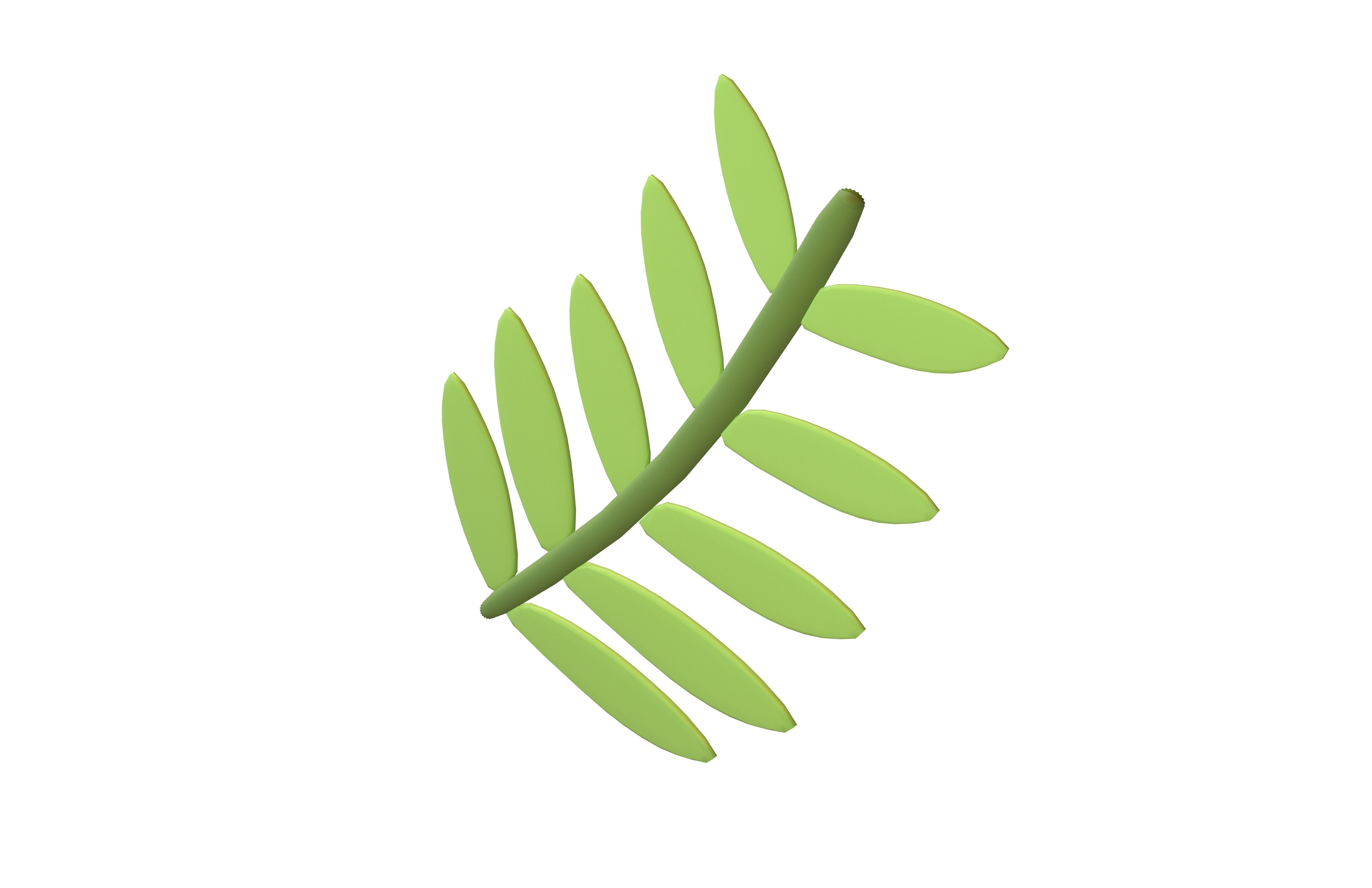 Cartoon Leaf v10 001 Low-poly 3D model_2