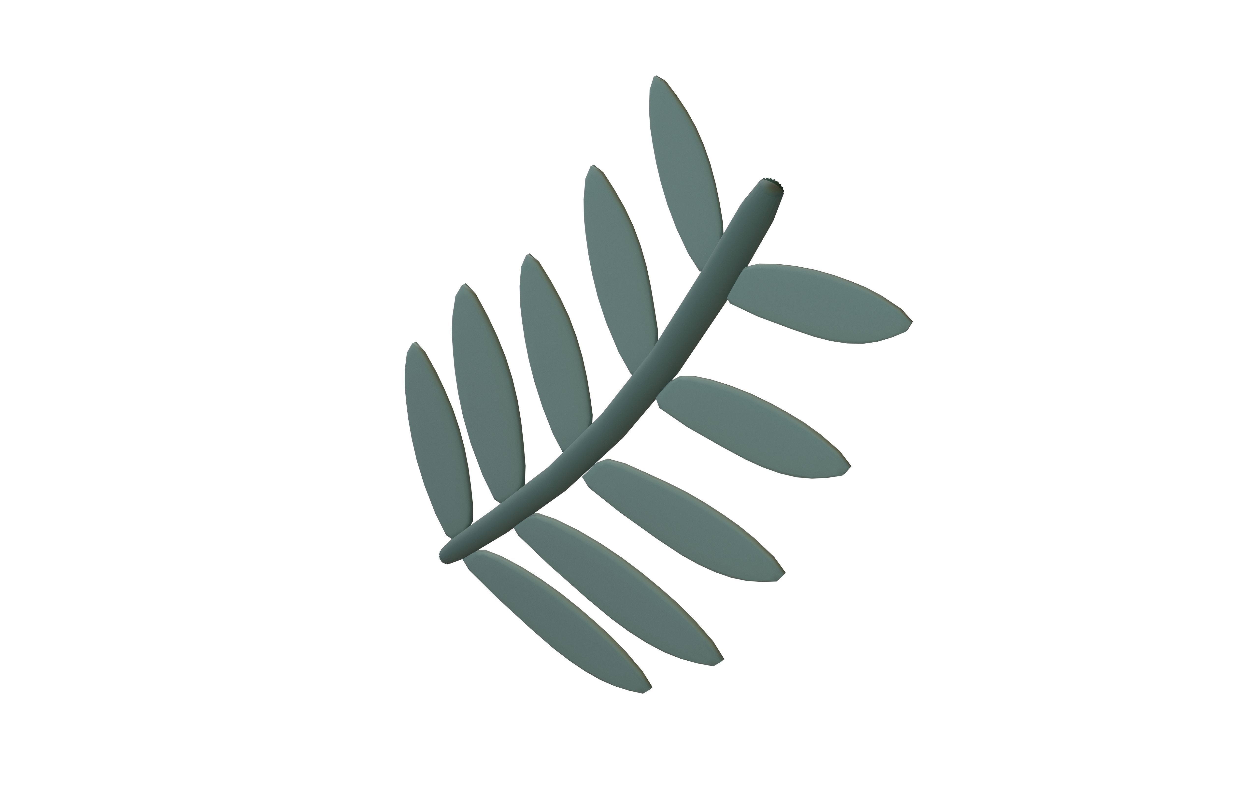 Cartoon Leaf v10 003 Low-poly 3D model_2