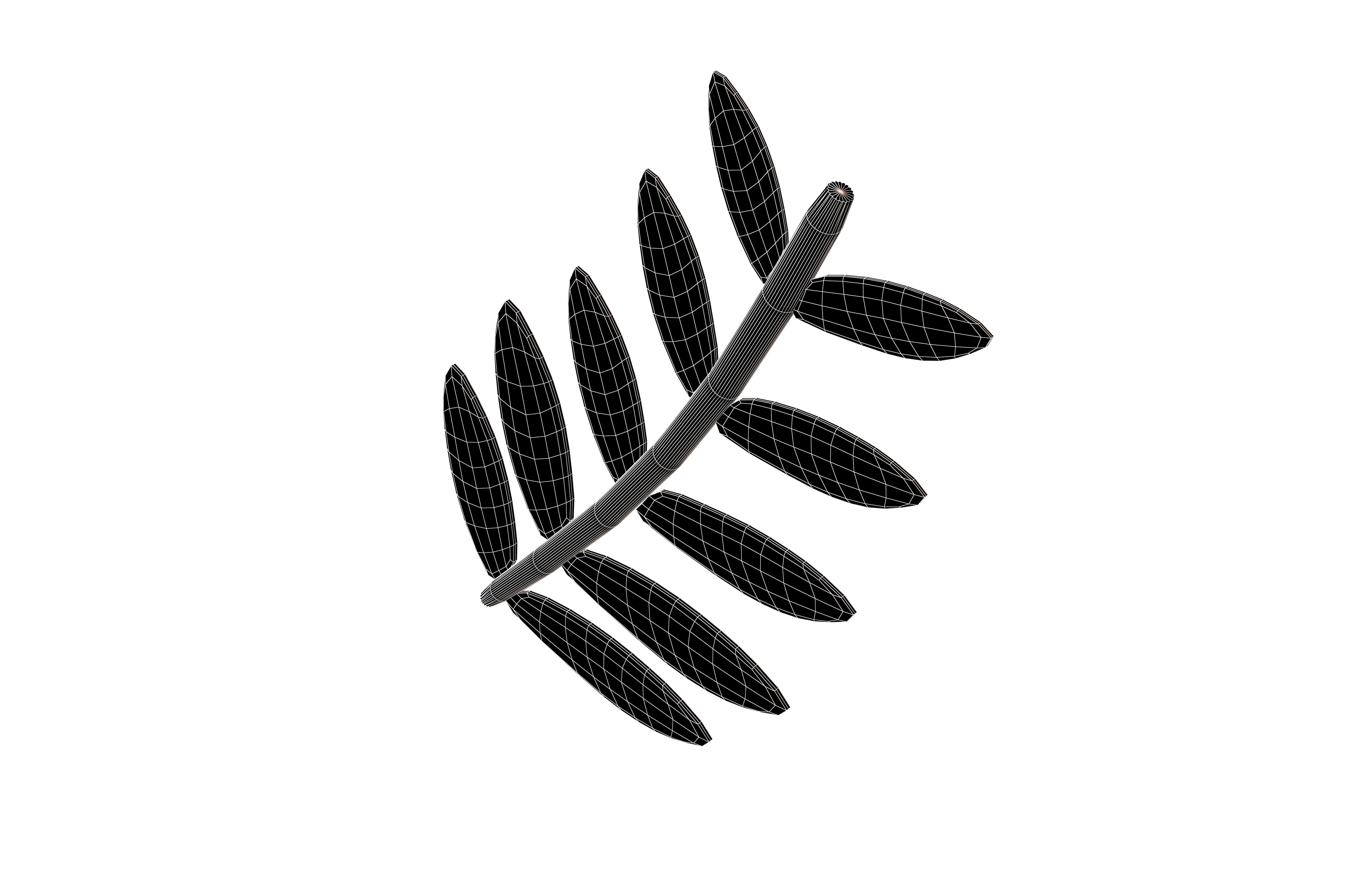 Cartoon Leaf v10 005 Low-poly 3D model_5