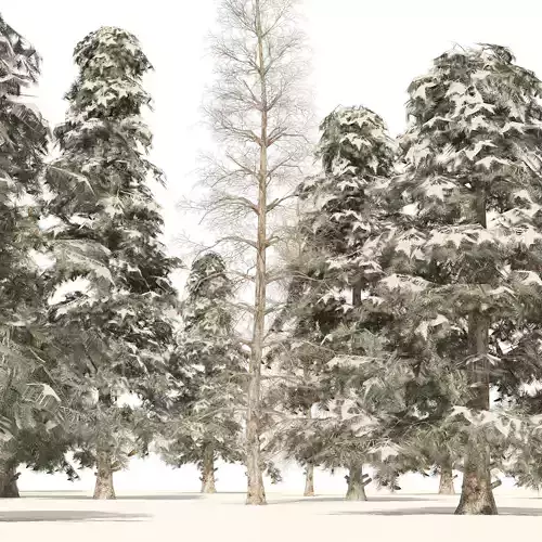 Winter green spruce forest Low-poly 3D model