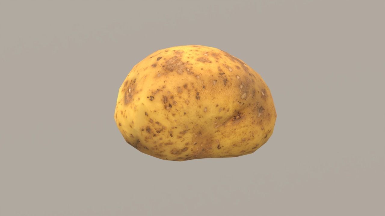 Potato Low-poly 3D model_10