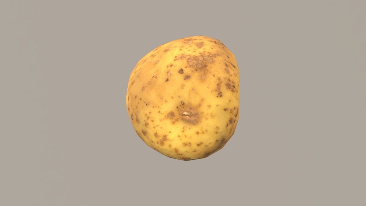 Potato Low-poly 3D model_6