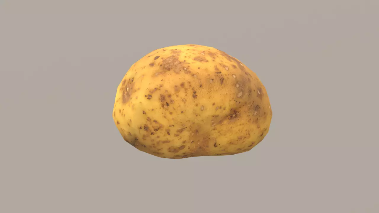 Potato Low-poly 3D model_0