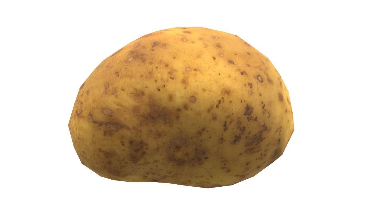 Potato Low-poly 3D model_13
