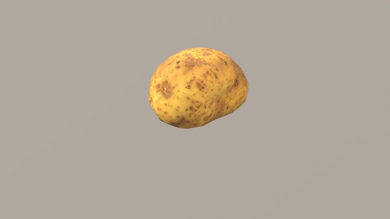 Potato Low-poly 3D model_2