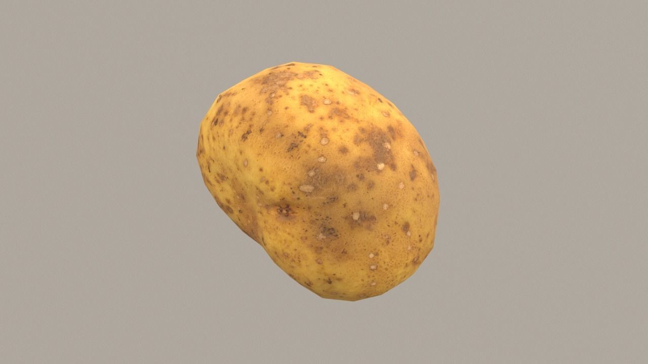 Potato Low-poly 3D model_4