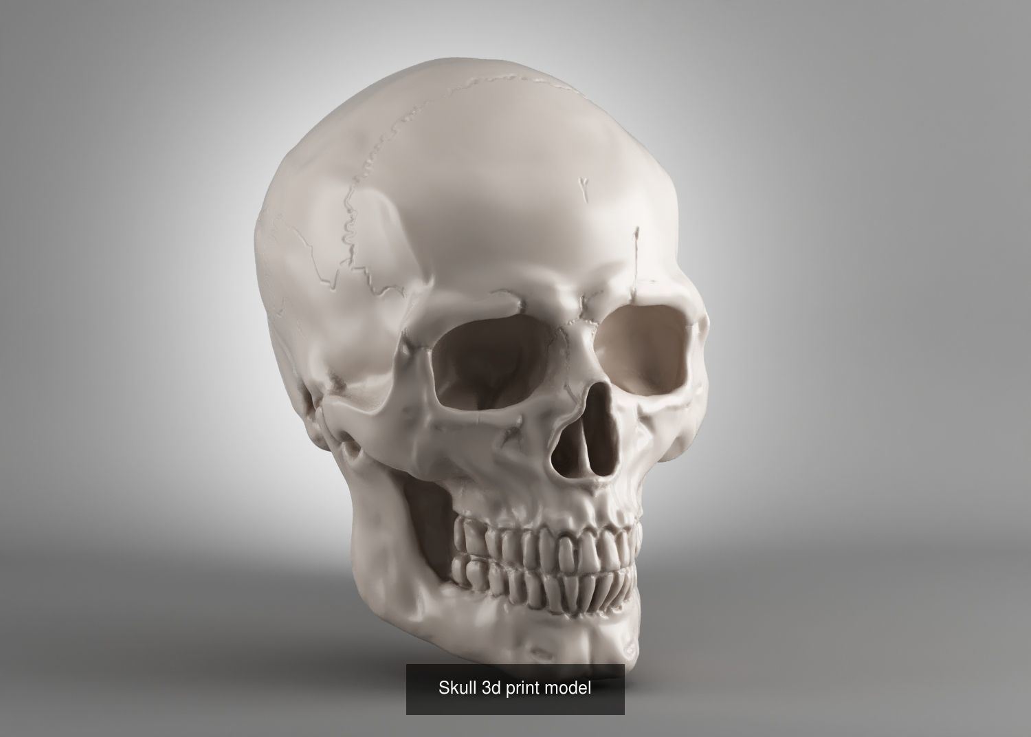 59 Skull ornament and robot design  3d print modelpackage 3D Model Collection_23