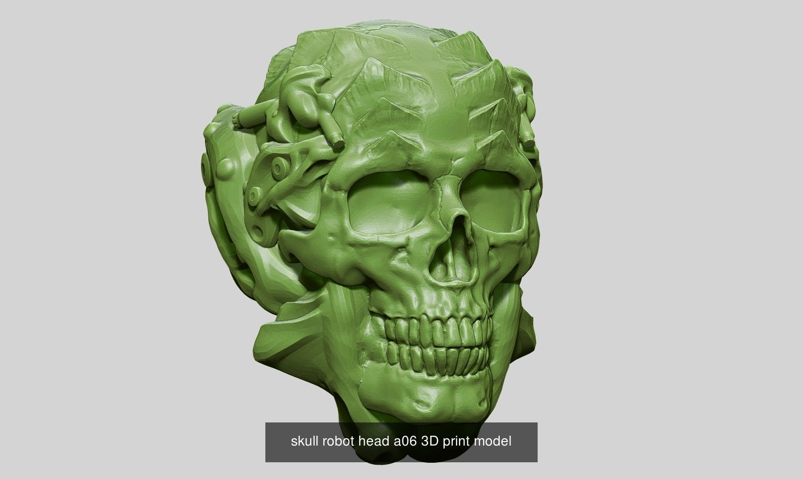 10 skull robot head and ornament skull 3d print model  3D Model Collection_1