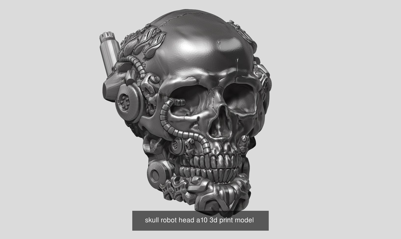 10 skull robot head and ornament skull 3d print model  3D Model Collection_5