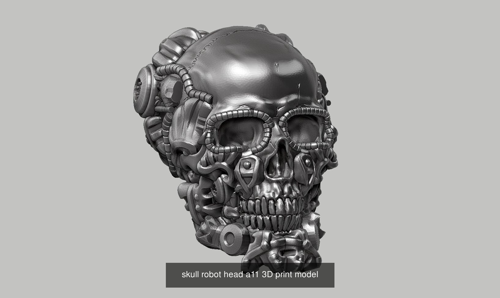 10 skull robot head and ornament skull 3d print model  3D Model Collection_3
