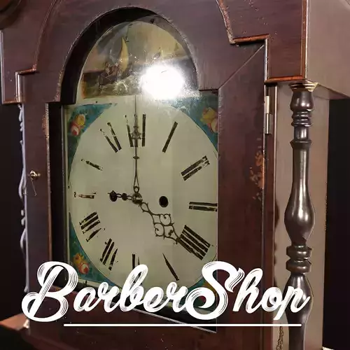 Antique forniture  1800s Tall Case Clock Real Time