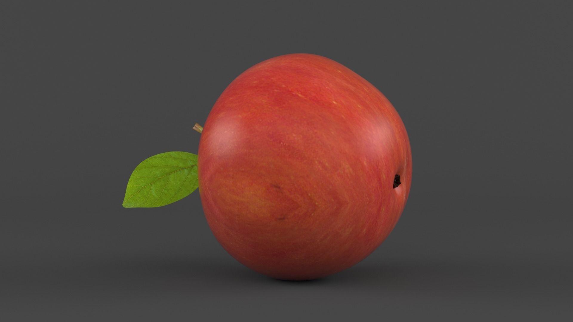 Apple Fruit 3D model_5