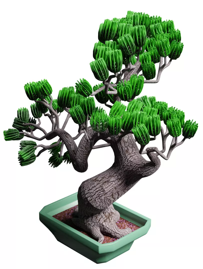 Bonsai tree 3D model_0
