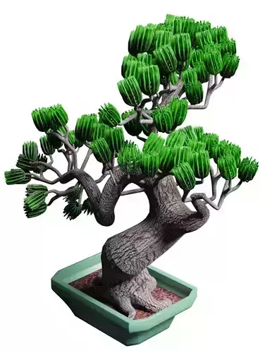 Bonsai tree
