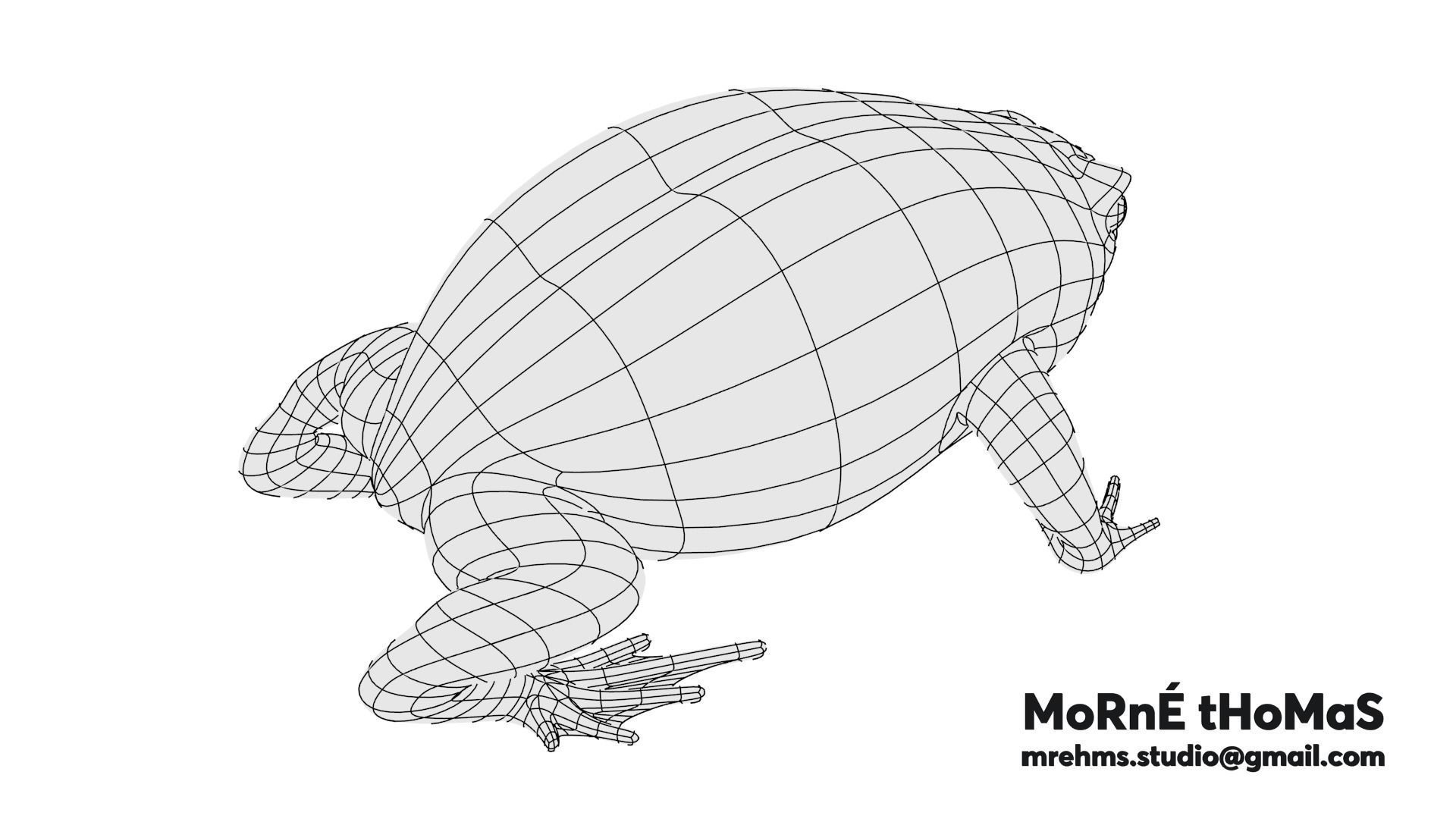 Cape Rain Frog Free 3D model_8