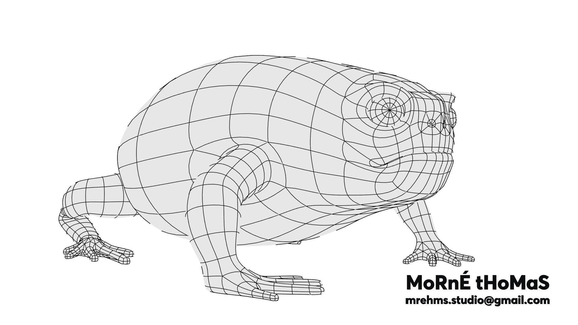 Cape Rain Frog Free 3D model_6