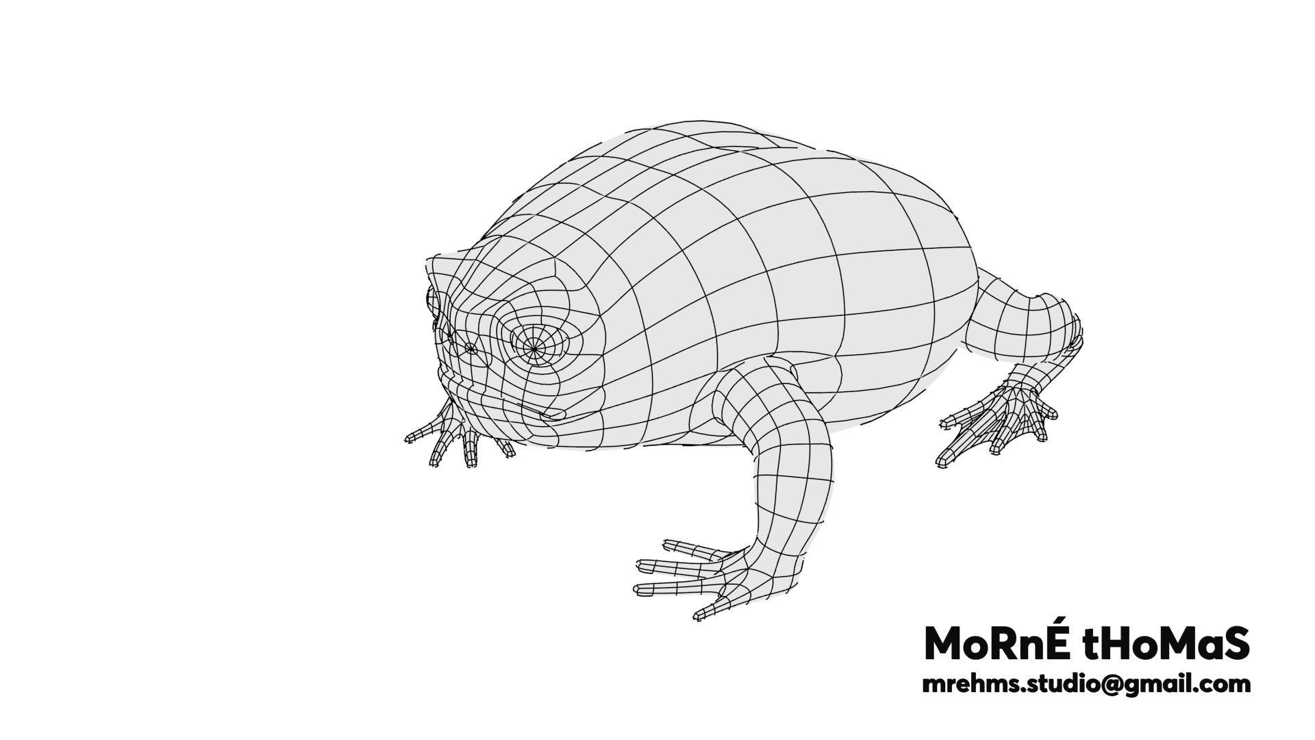 Cape Rain Frog Free 3D model_2