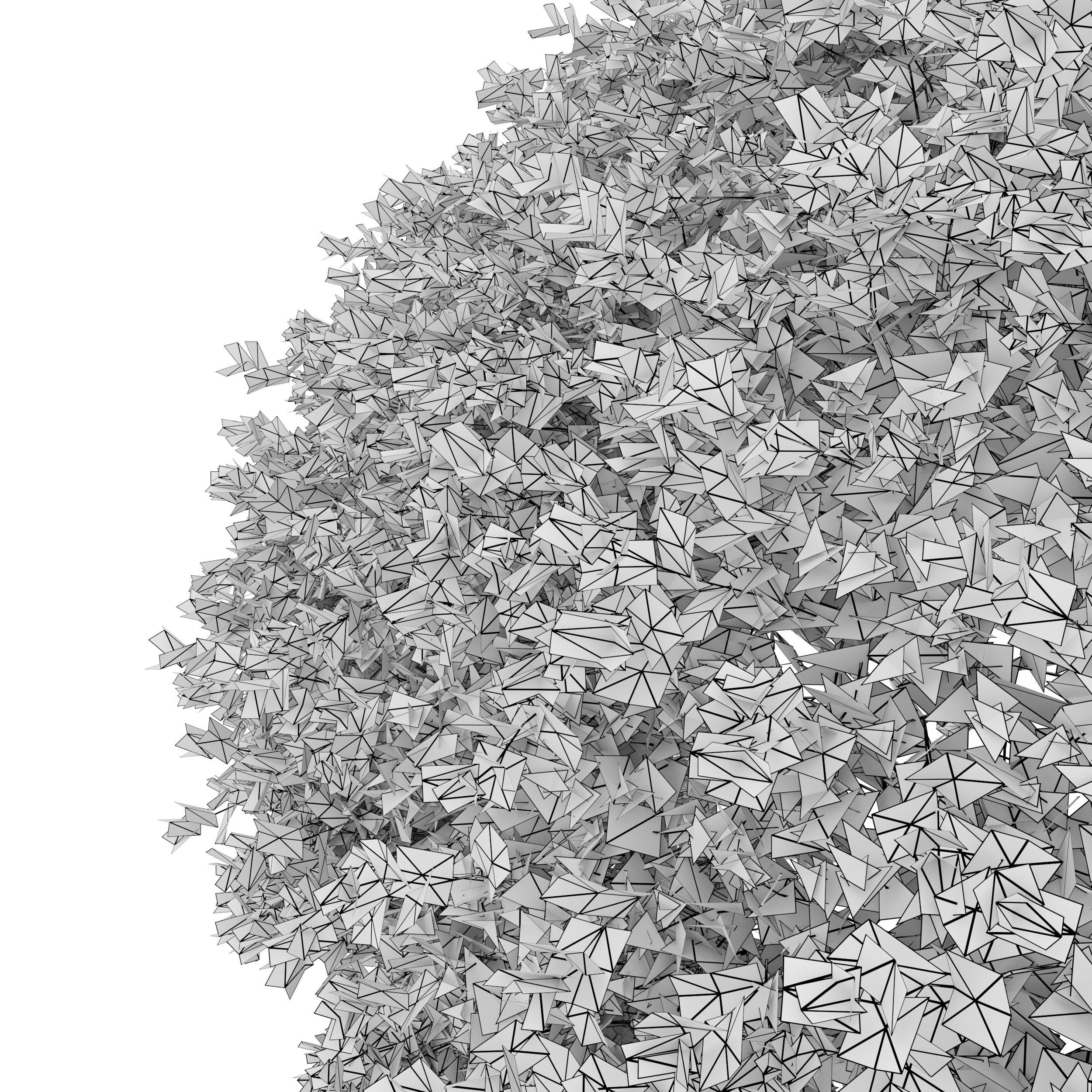 Boxwood 02 3D model_6