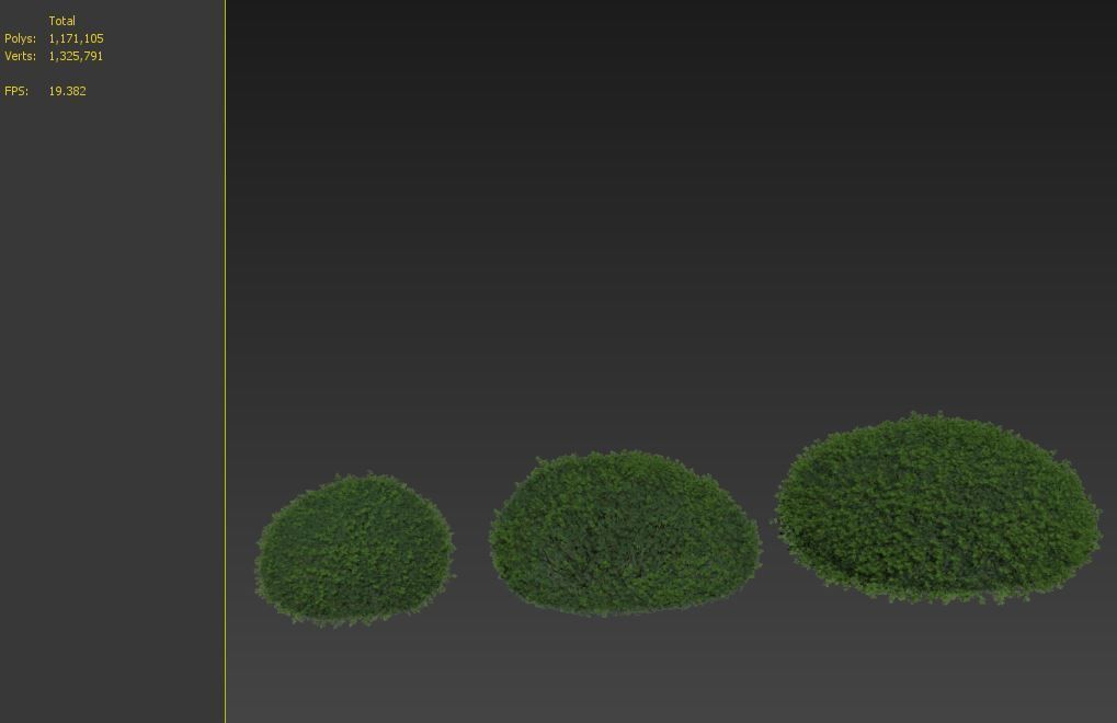 Boxwood 02 3D model_7