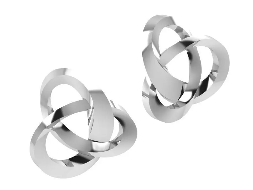 Styelish earrings 3128 3D print model 3D print model_0