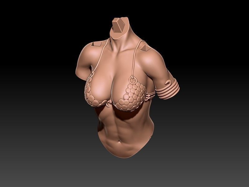 Red Sonja 3D print model_40