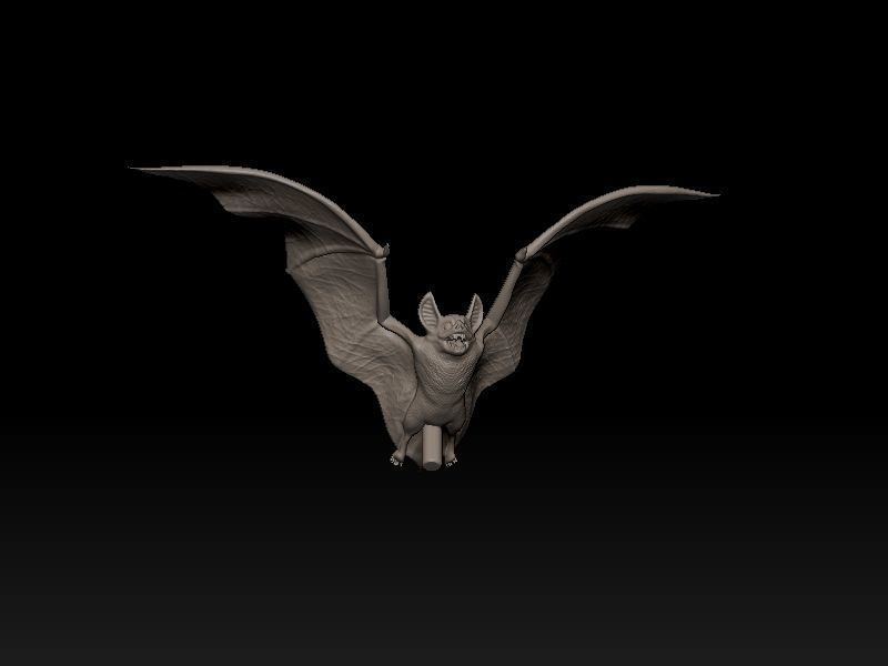 Elvira on Pumpkin 3D print model_6