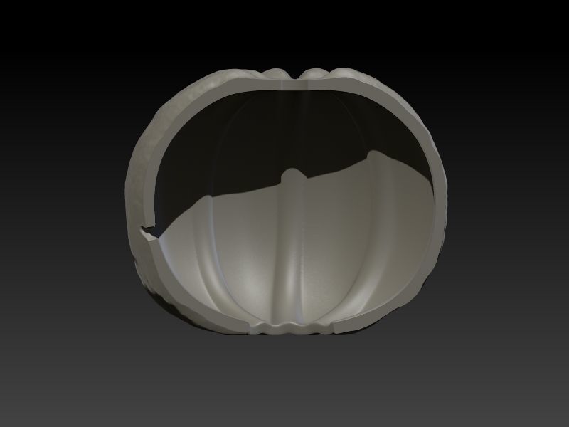 Elvira on Pumpkin 3D print model_14