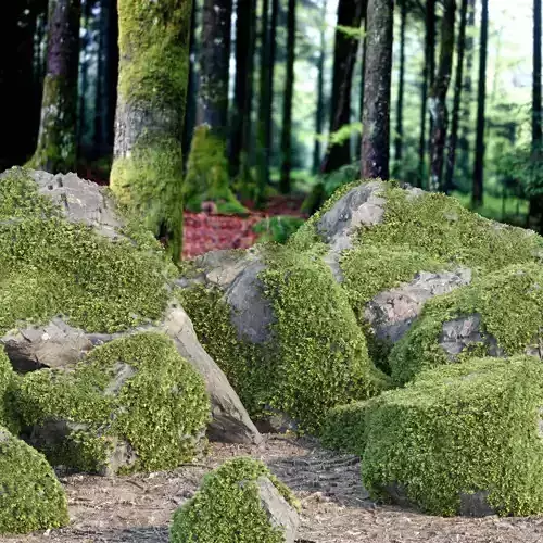 Mossy rocks 3D PBR Models Pack