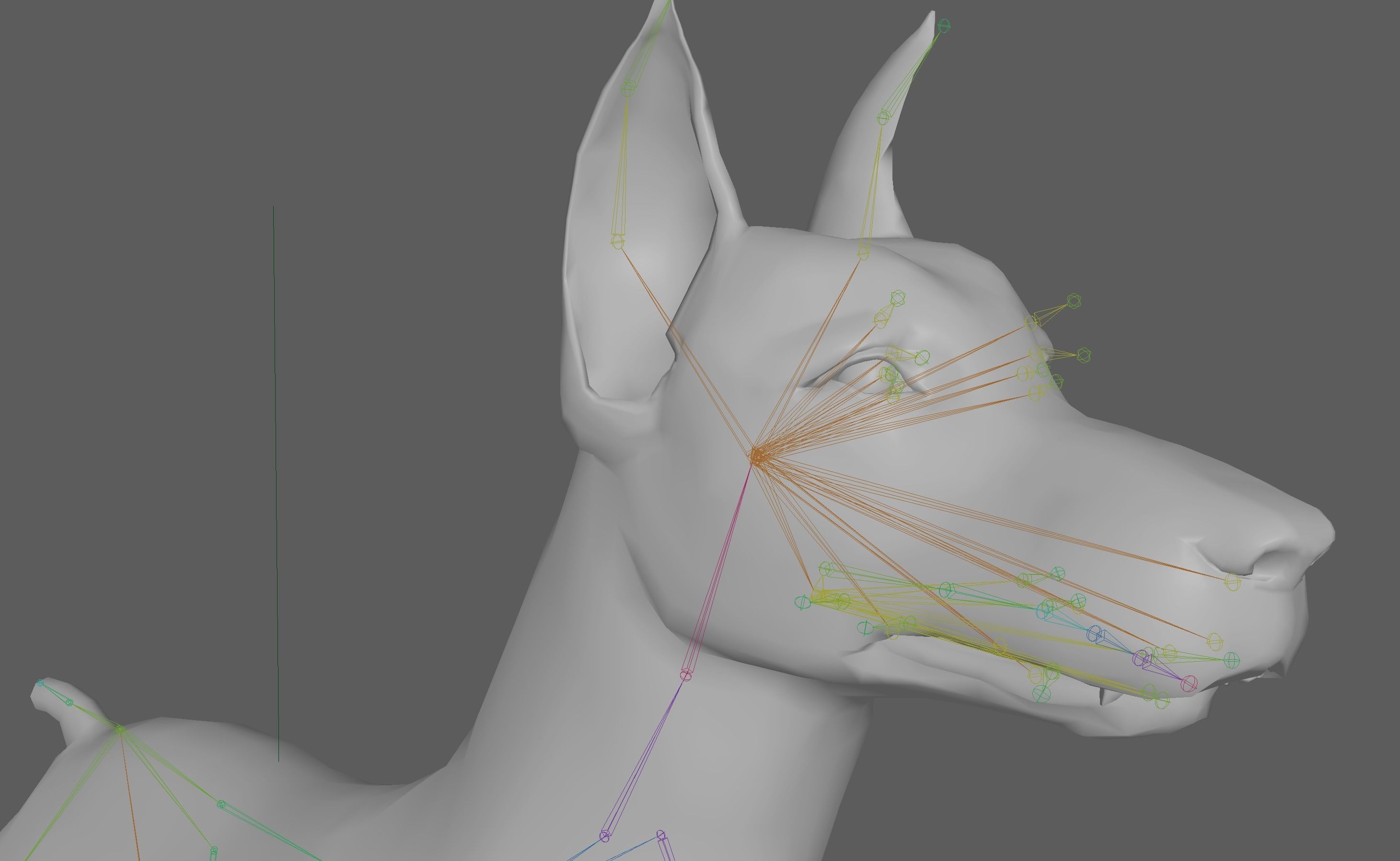  Doberman Dog Rig 3D model_13