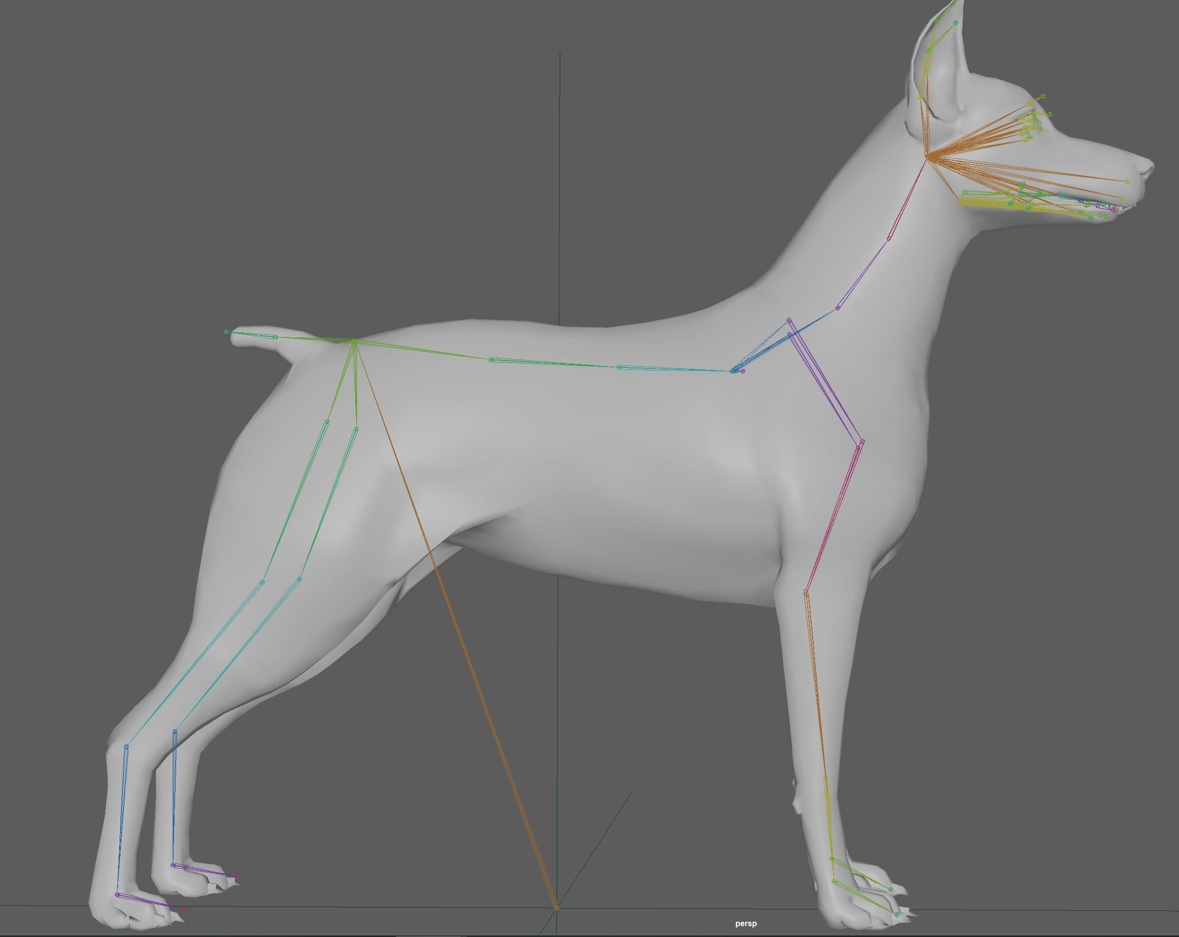  Doberman Dog Rig 3D model_19