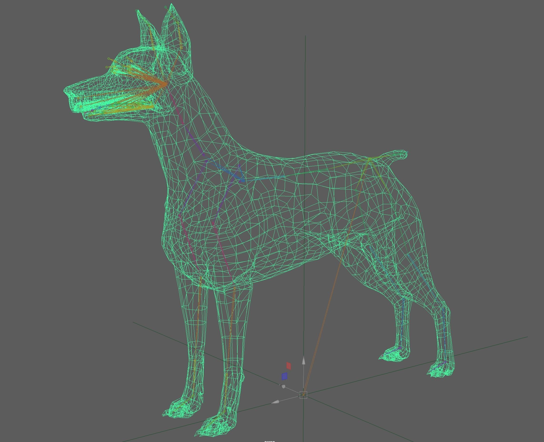  Doberman Dog Rig 3D model_15
