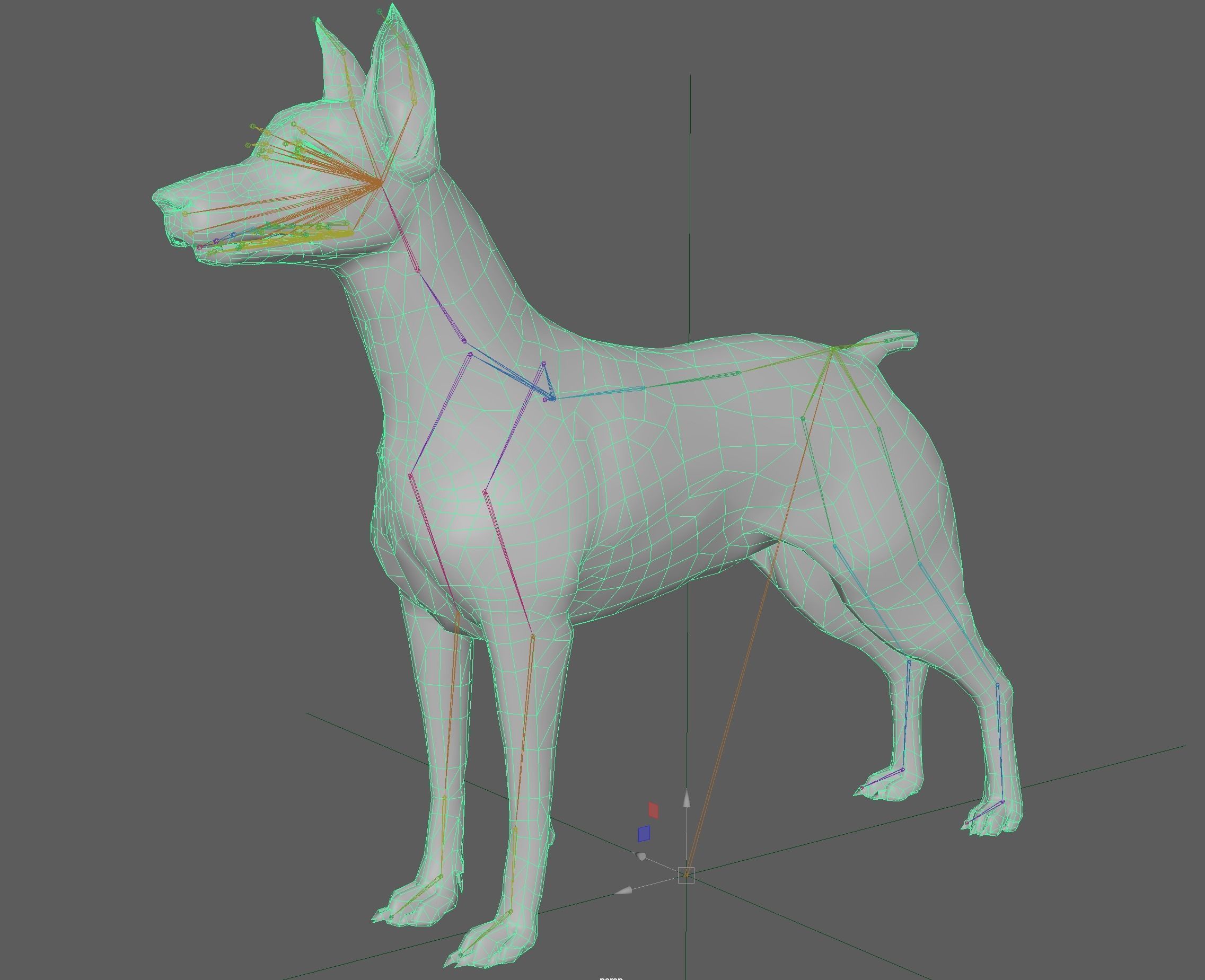  Doberman Dog Rig 3D model_14