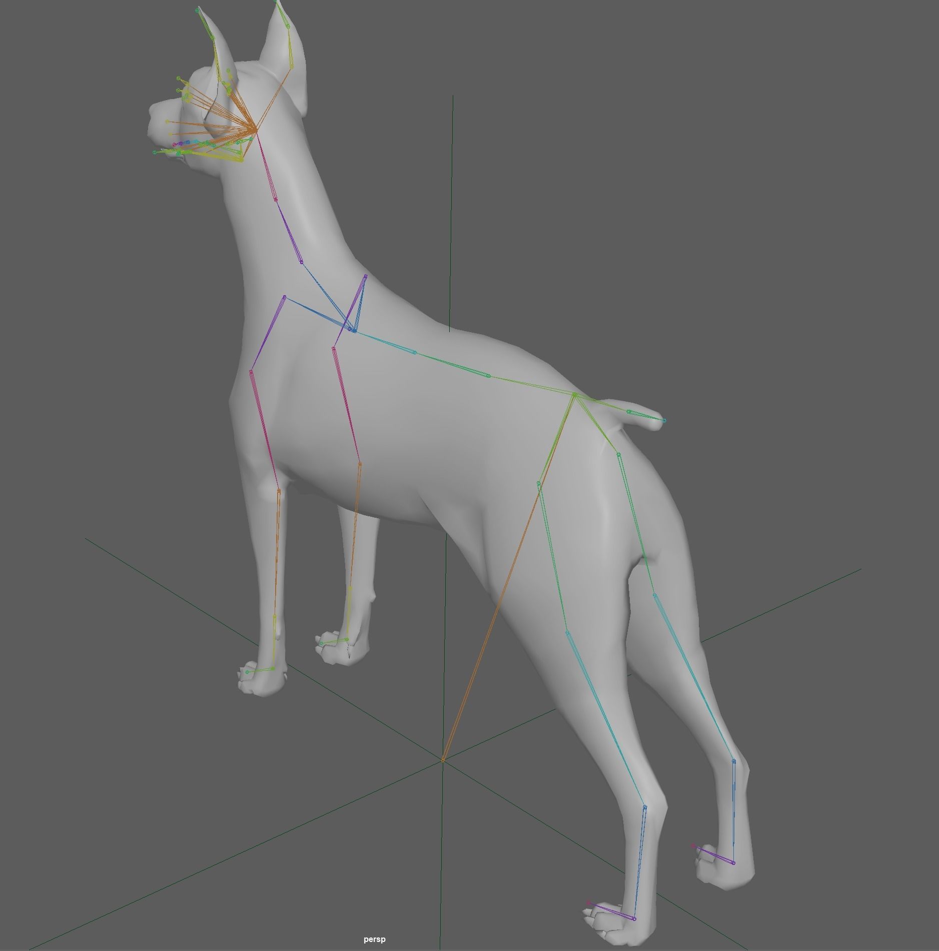  Doberman Dog Rig 3D model_21