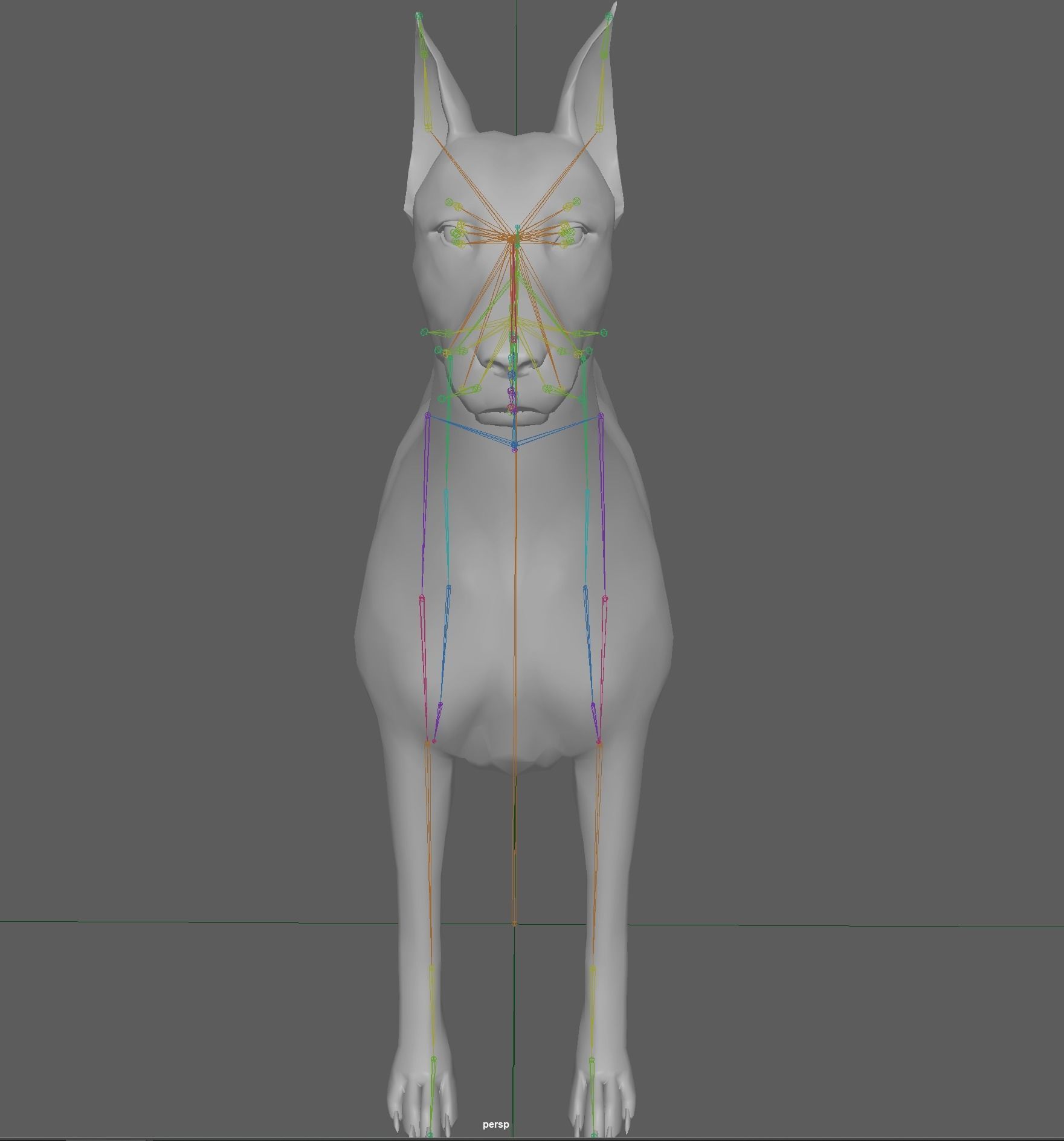  Doberman Dog Rig 3D model_16