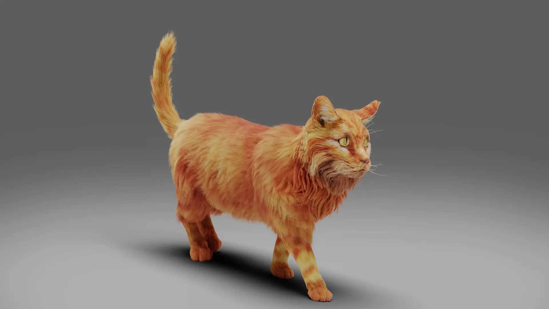 Fur Cat Yellow V3 Rigged and Animated Low-poly 3D model