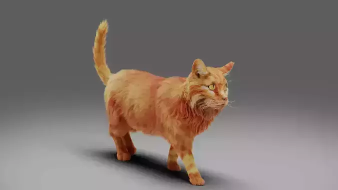 Fur Cat Yellow V3 Rigged and Animated Low-poly 3D model