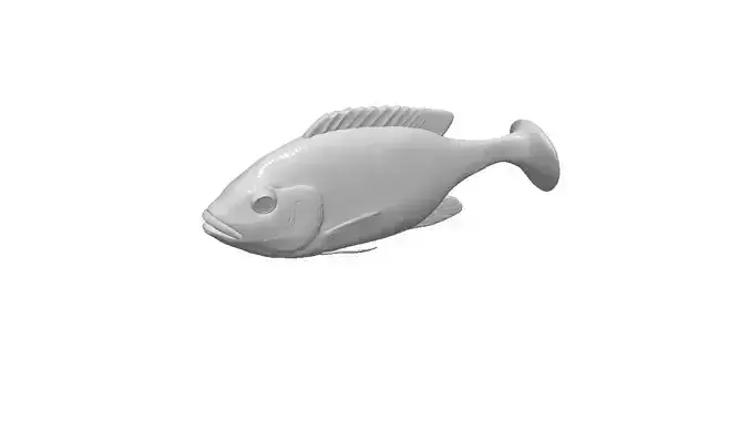 Soft bait realistic tilapia fish model 3d