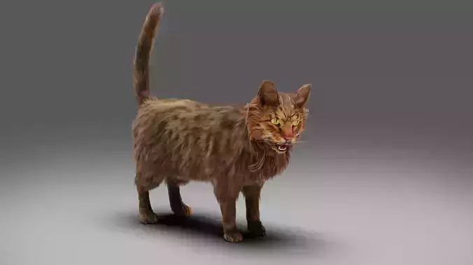 Fur Cat Grey Rigged and Animated