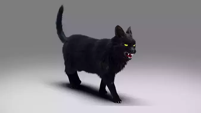 Fur Cat Black Rigged and Animated Low-poly 3D model