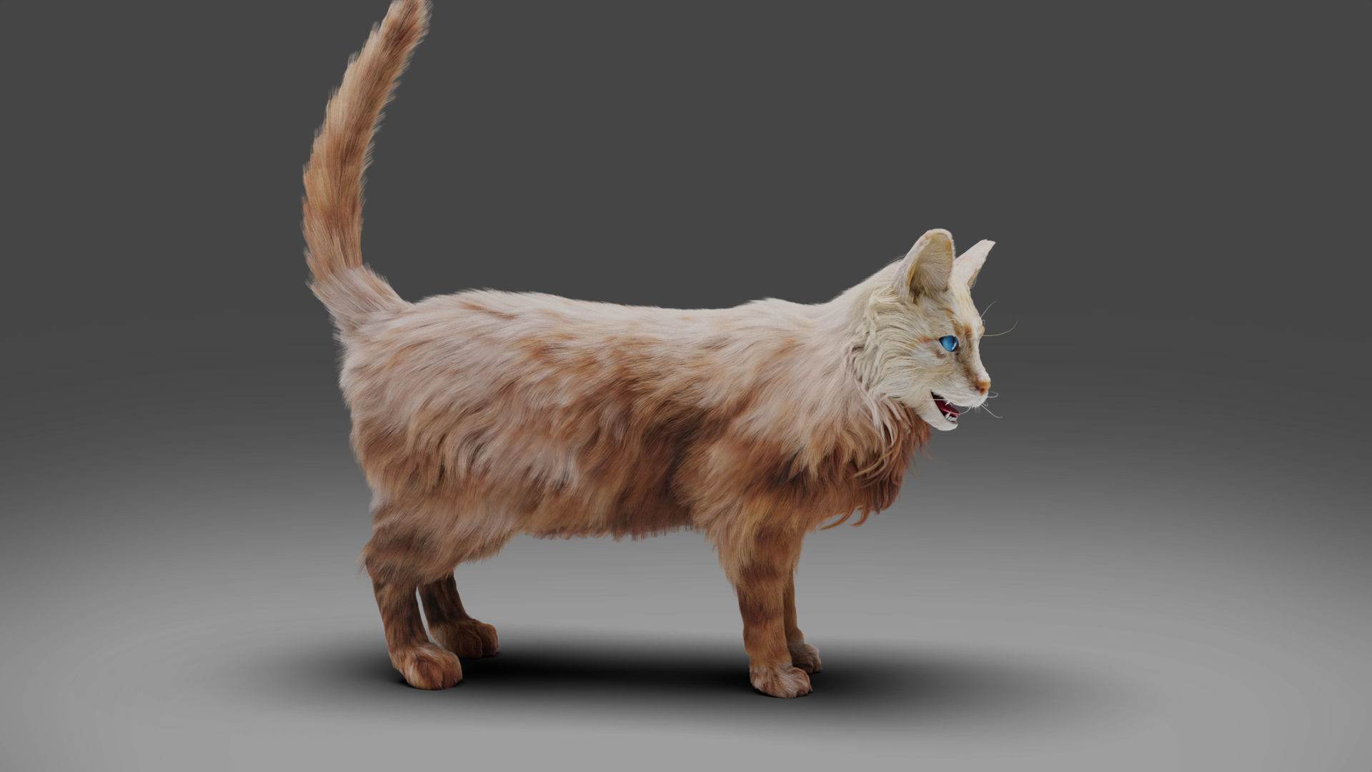 Fur Cat White V2 Rigged and Animated Low-poly 3D model_6