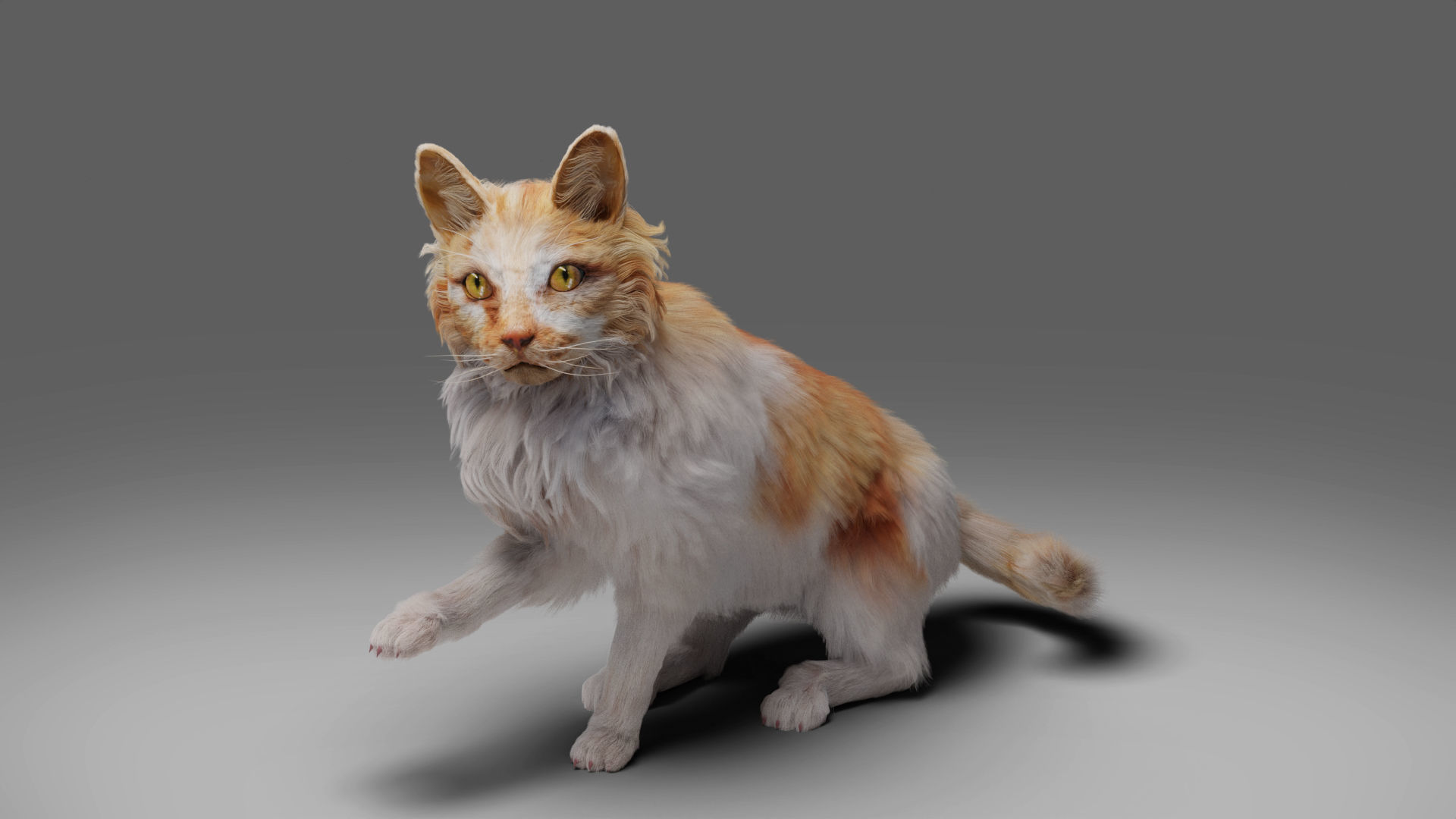 Fur Cat Calico V02 Rigged and Animated Low-poly 3D model_9