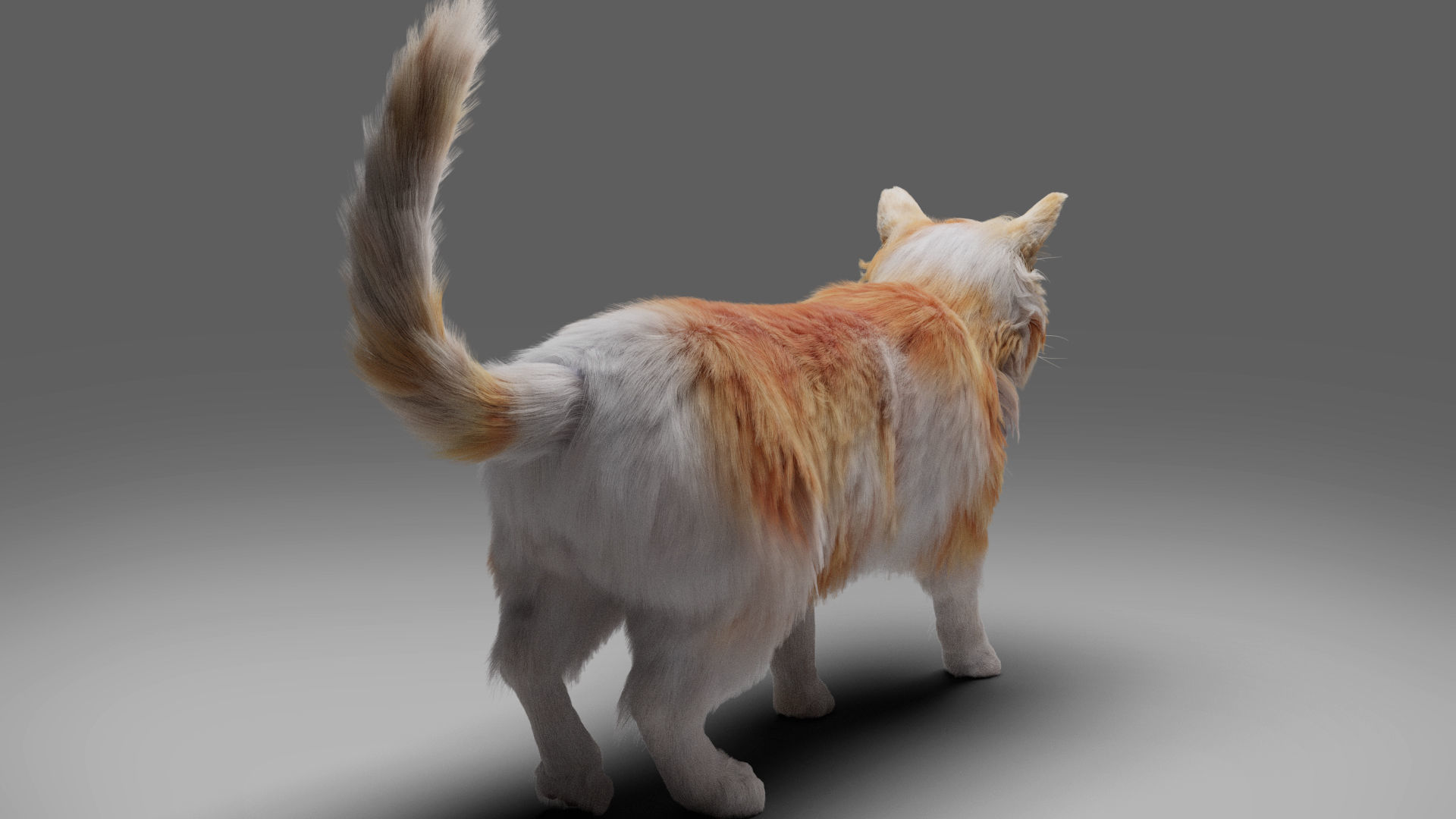 Fur Cat Calico V02 Rigged and Animated Low-poly 3D model_10