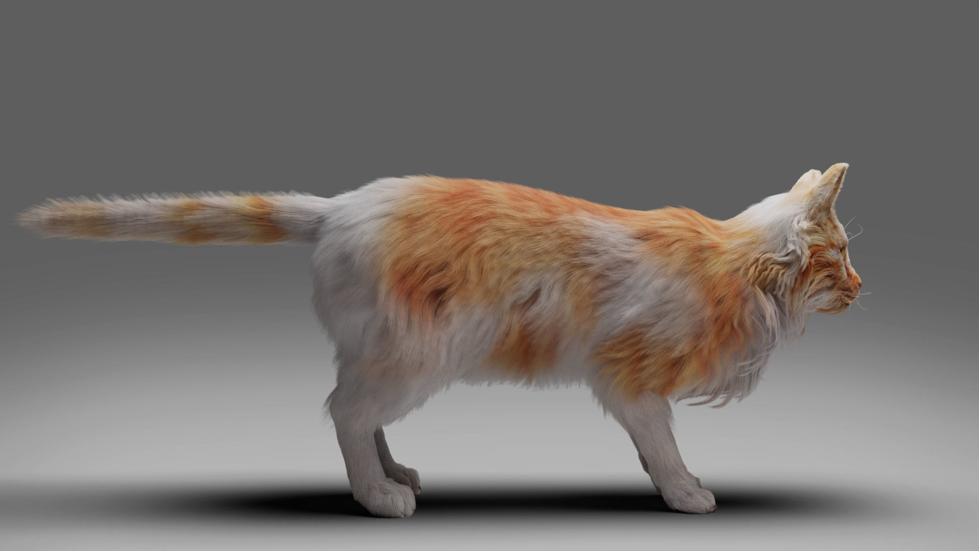 Fur Cat Calico V02 Rigged and Animated Low-poly 3D model_8