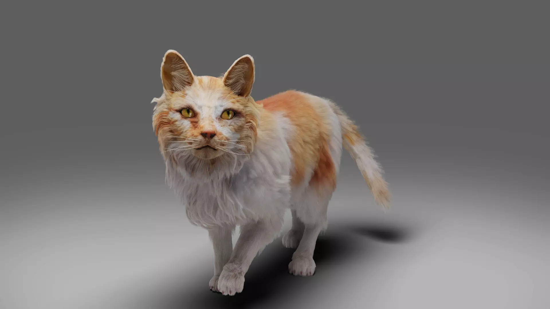 Fur Cat Calico V02 Rigged and Animated Low-poly 3D model_0