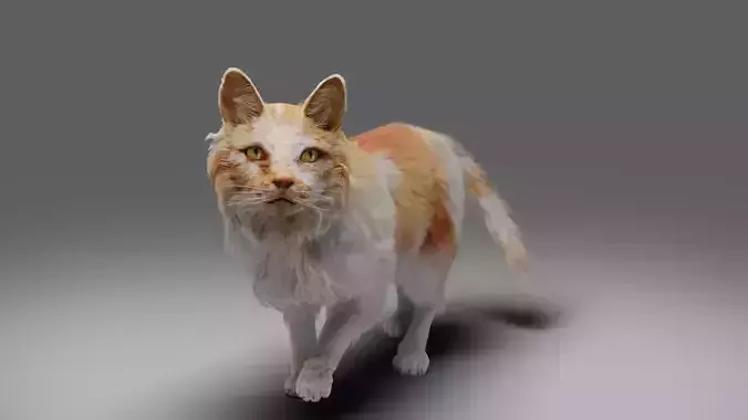 Fur Cat Calico V02 Rigged and Animated
