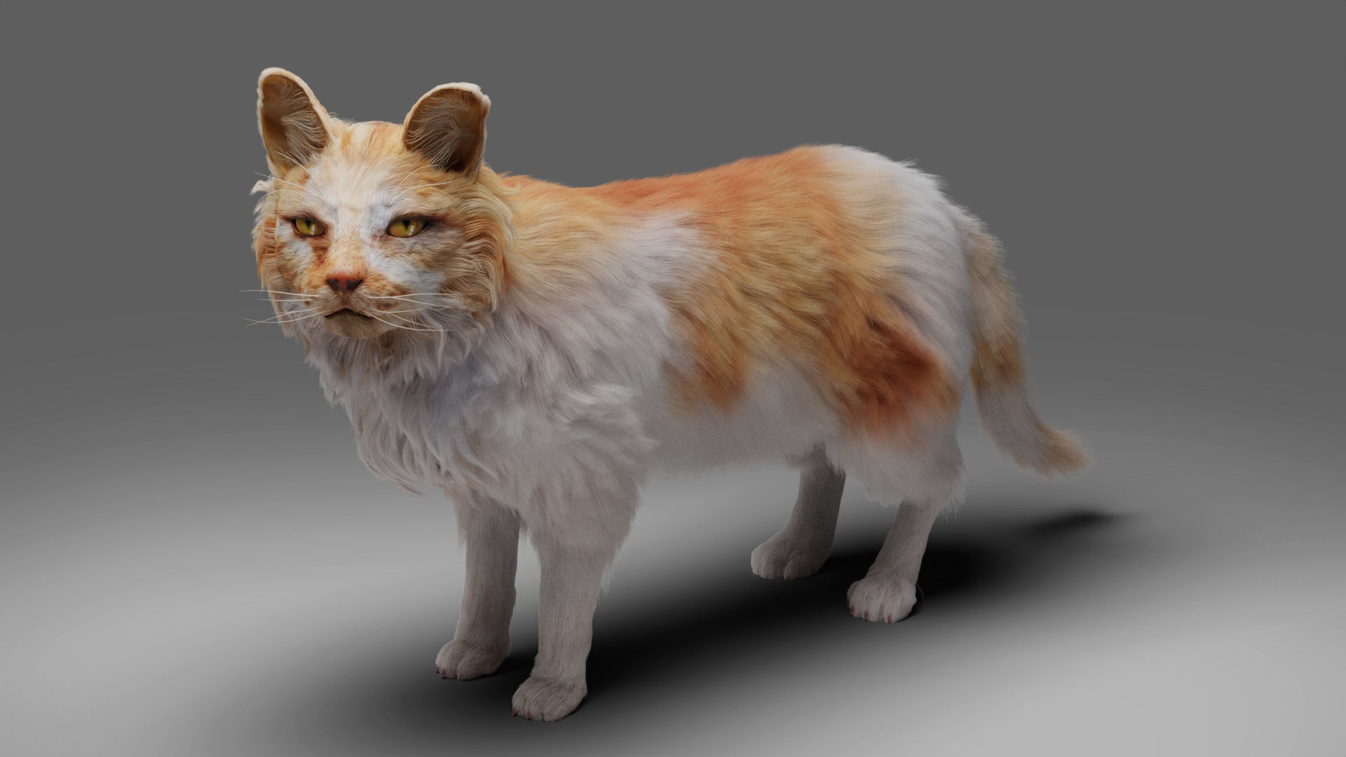 Fur Cat Calico V02 Rigged and Animated Low-poly 3D model_4