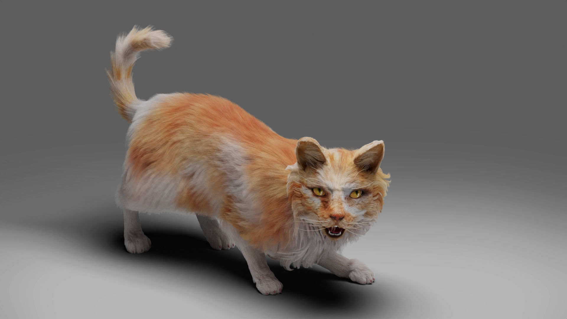 Fur Cat Calico V02 Rigged and Animated Low-poly 3D model_7